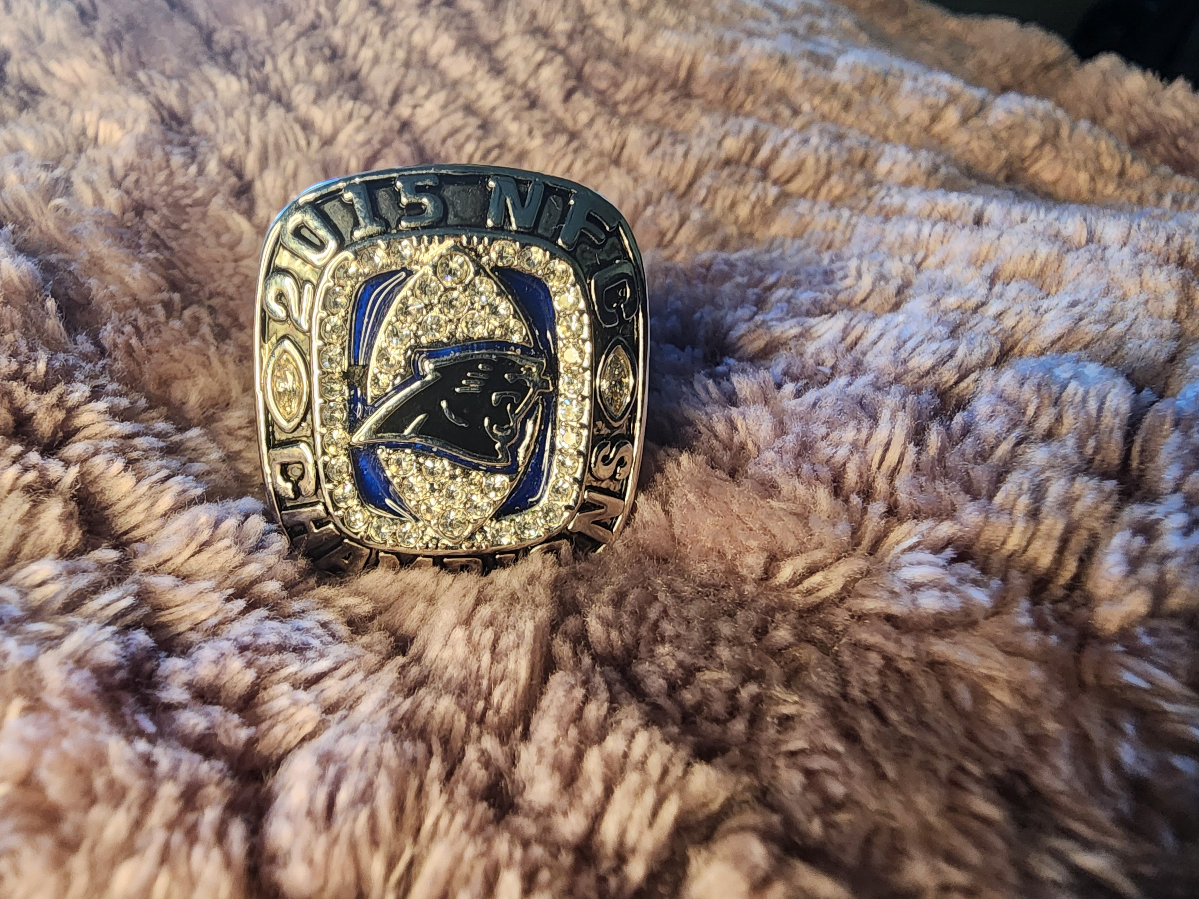 Carolina Panthers Ring 10-0 in the 2015 Season