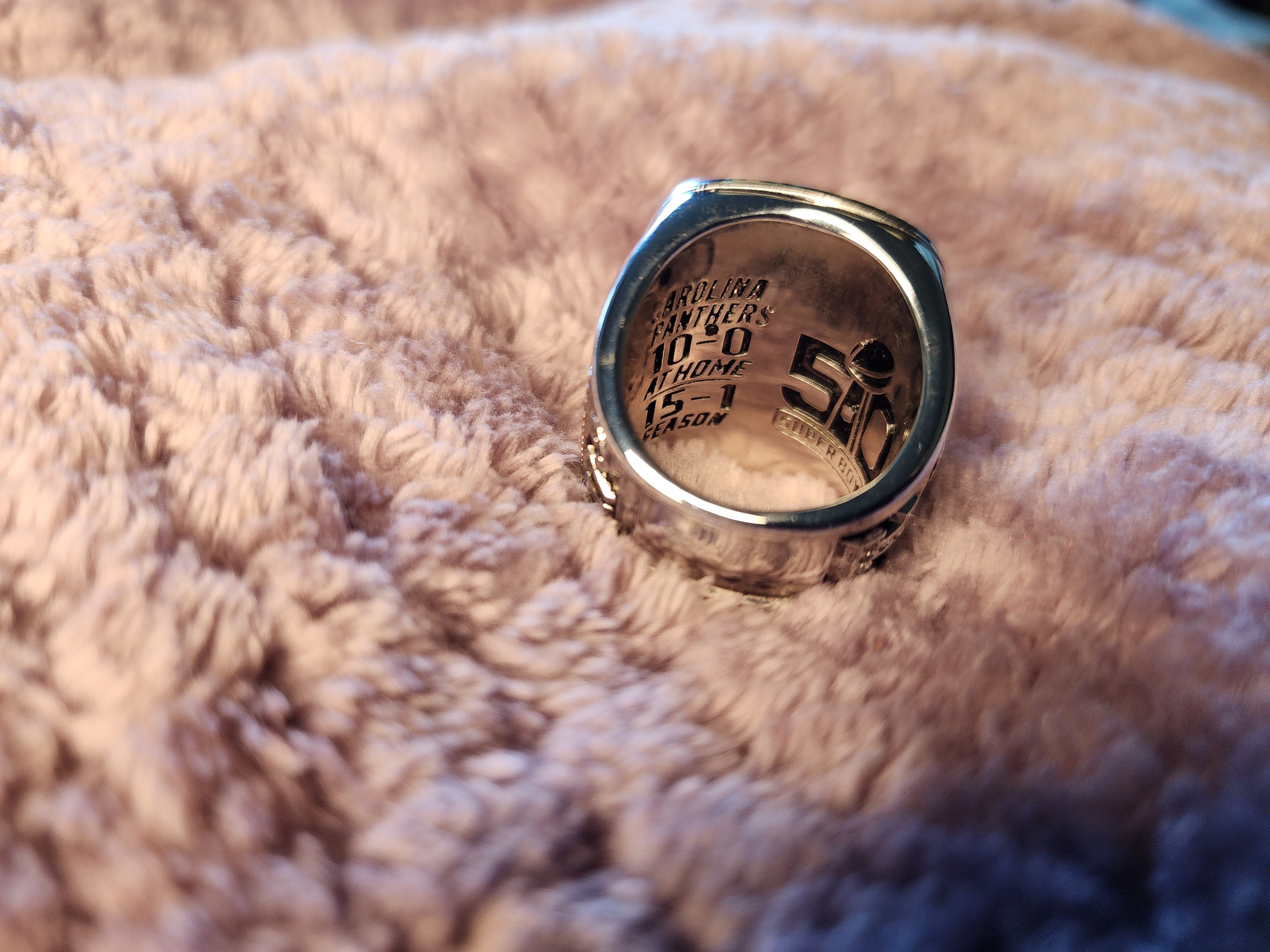 Carolina Panthers Ring 10-0 in the 2015 Season
